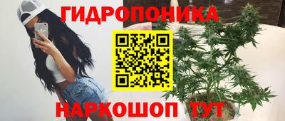 a pvp Малгобек