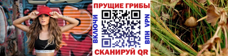 Псилоцибиновые грибы мухоморы  Пенза 
