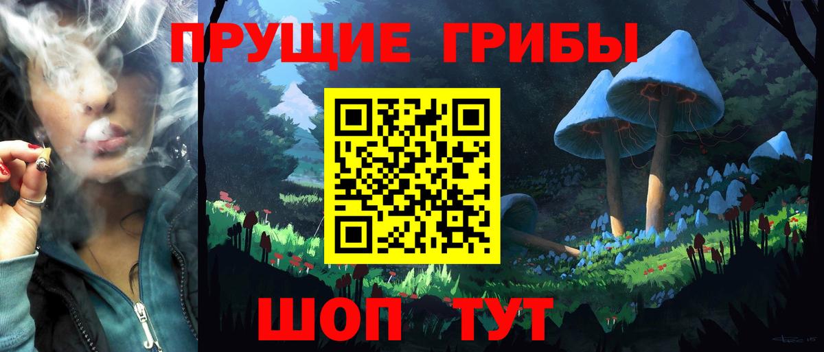 Галлюциногенные грибы Magic Shrooms Пенза